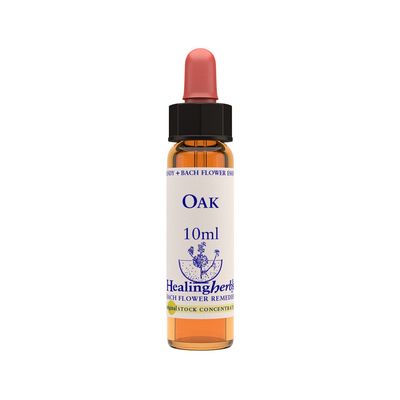 Oak 10ml