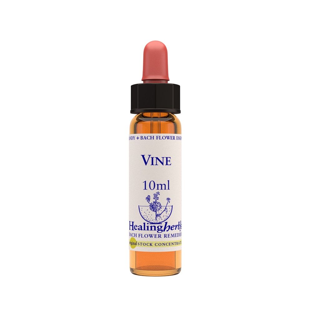 Vine 10ml