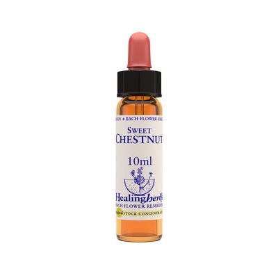 Sweet Chestnut 10ml