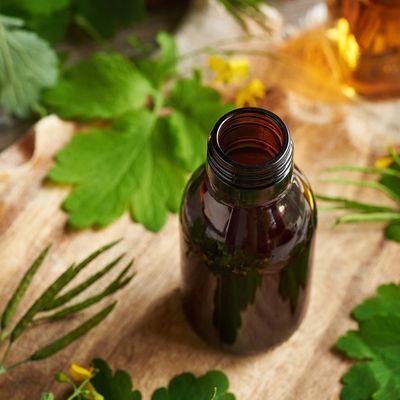 Black Cohosh (Actaea cimicifuga) Herbal Tincture