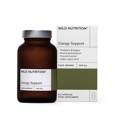Energy Support
