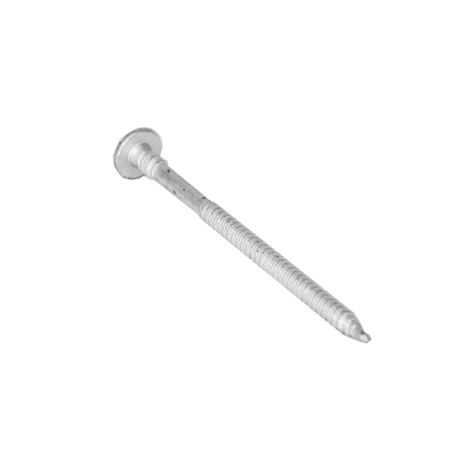 Phil schroef : 80mm Phil schroef : 80mm