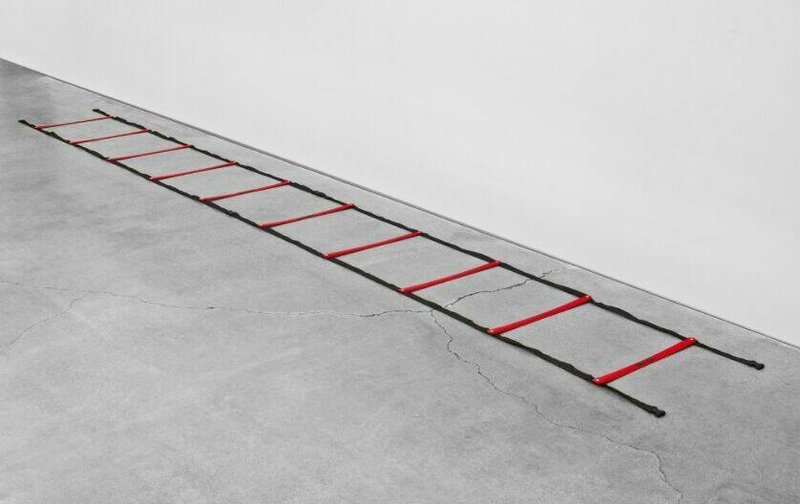 AGILITY LADDER