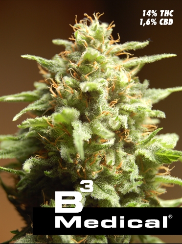 B3 Medical.