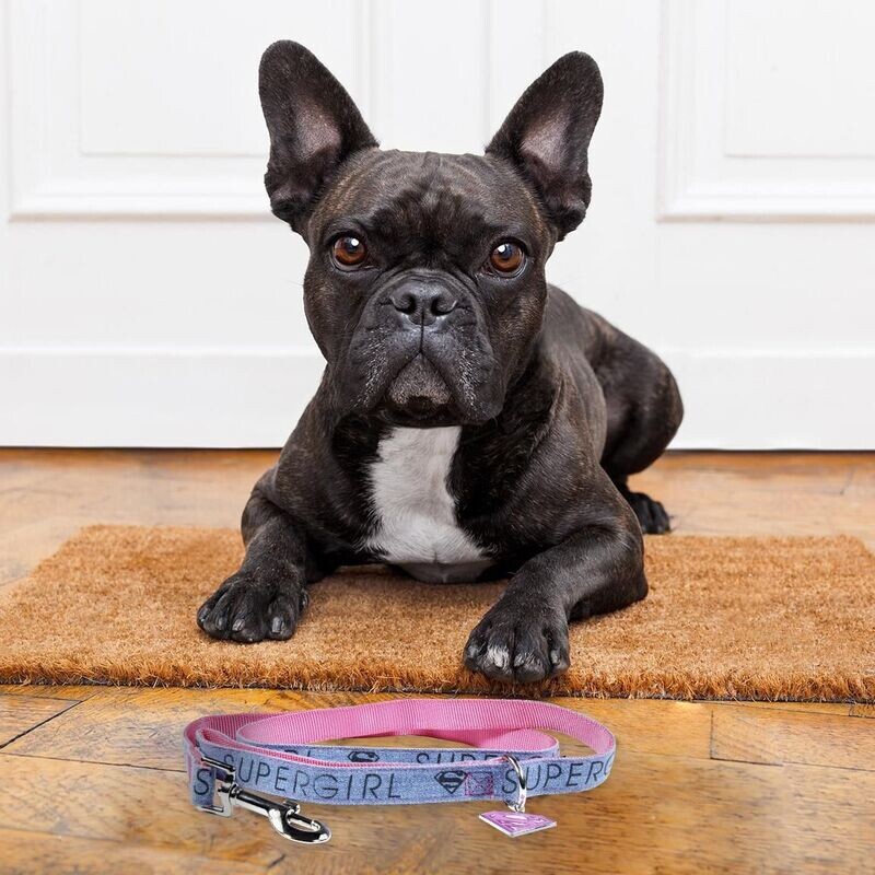 Correa  Para Perros Supergirl