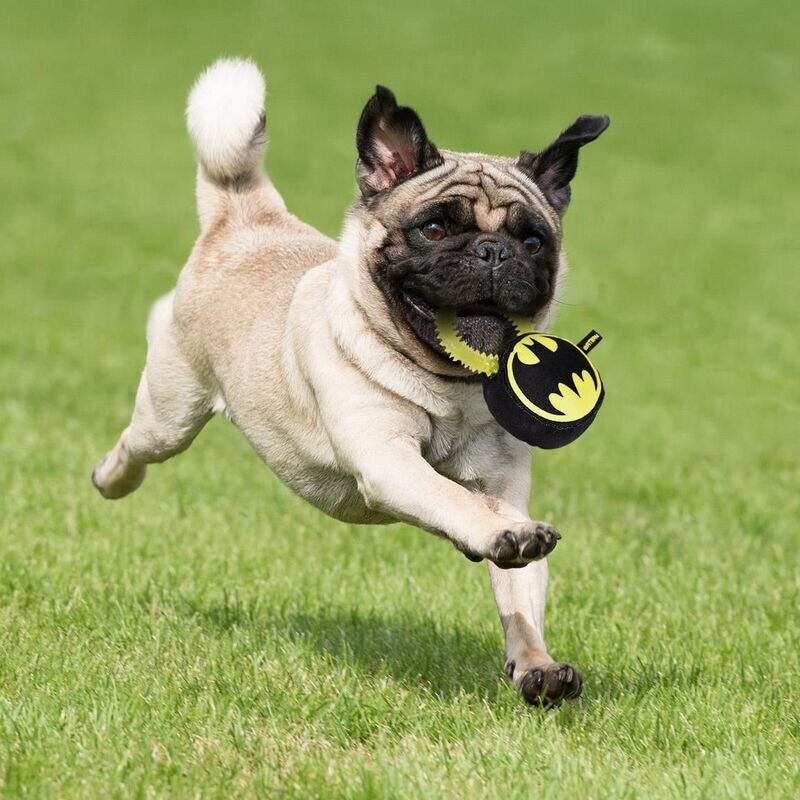 Mordedor Para Perro Batman