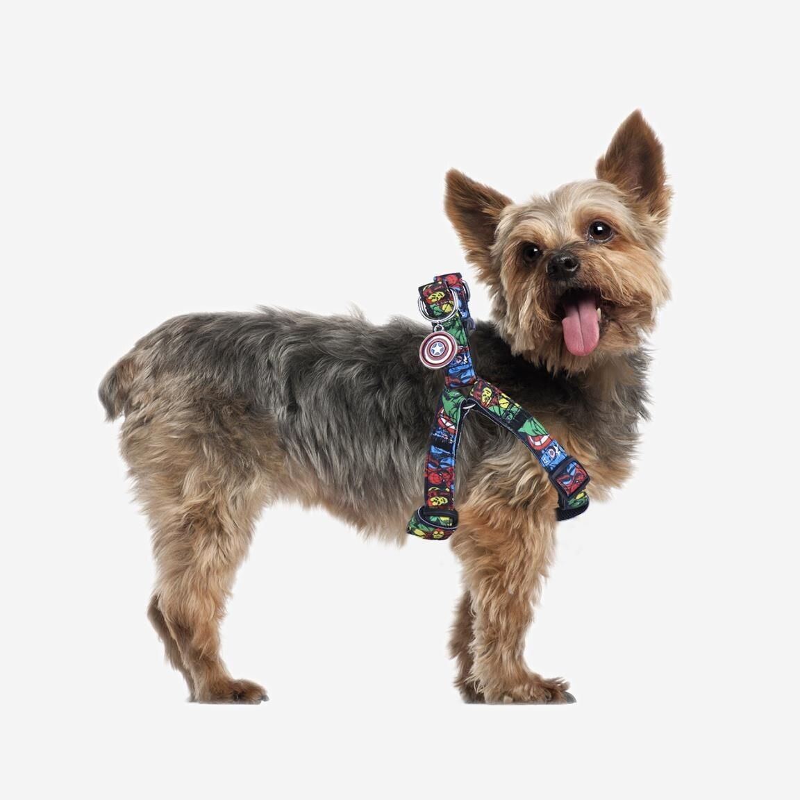 Petral Para Perro Marvel