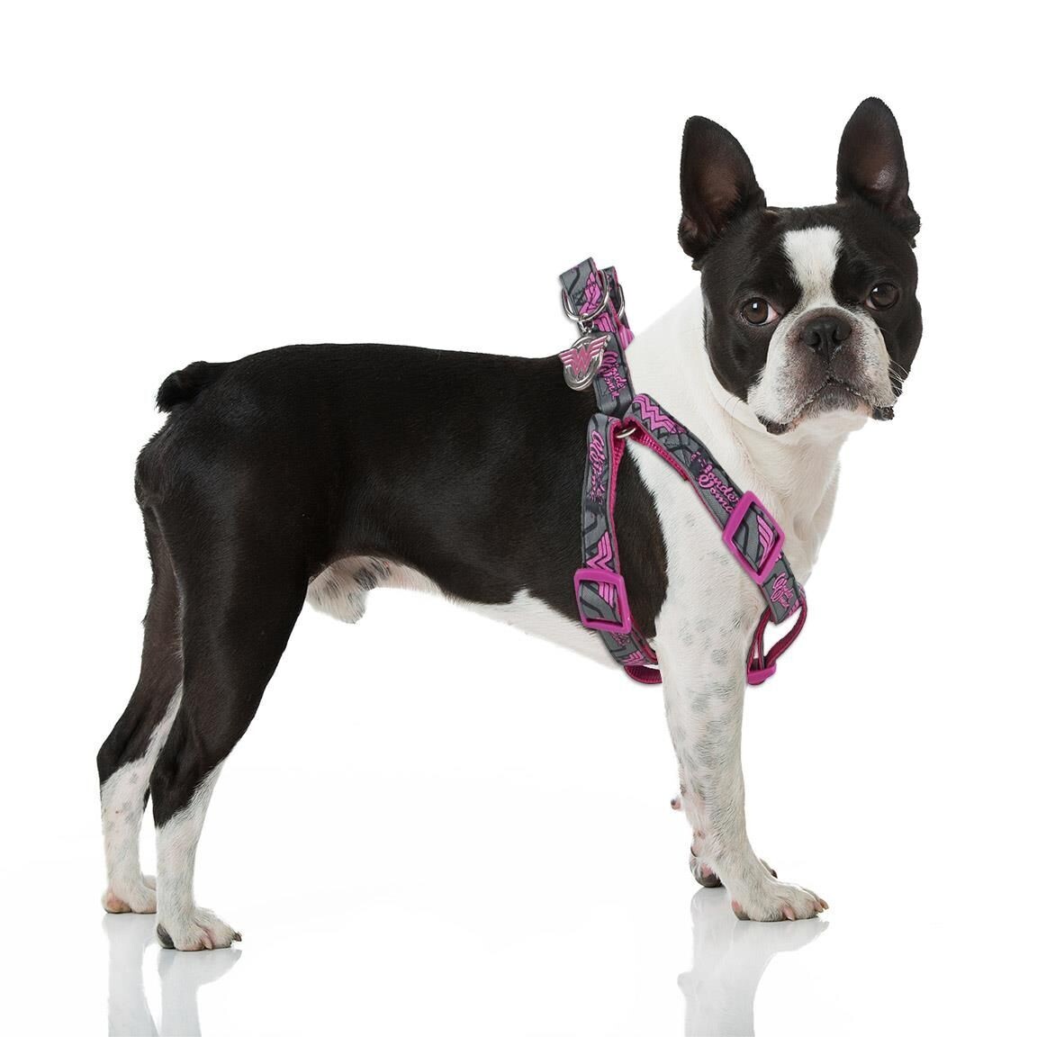 Petral Para Perro Supergirl