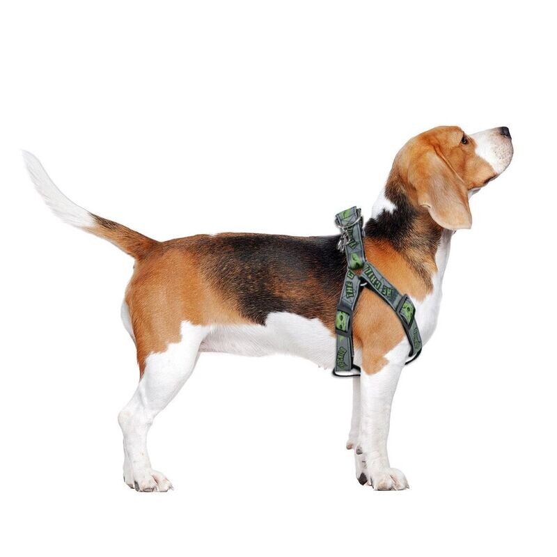 Petral Para Perro The Mandalorian