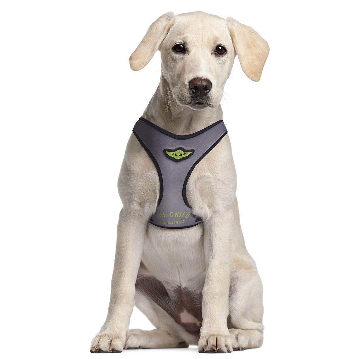 Petral Para Perro Xs/S The Mandalorian 