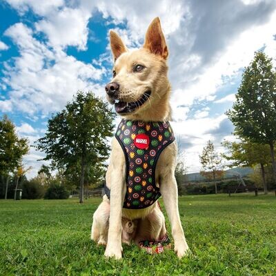 Arnés Reversible Para Perros Marvel 