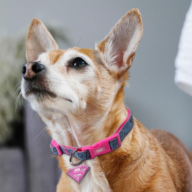 Collar Para Perros Supergirl