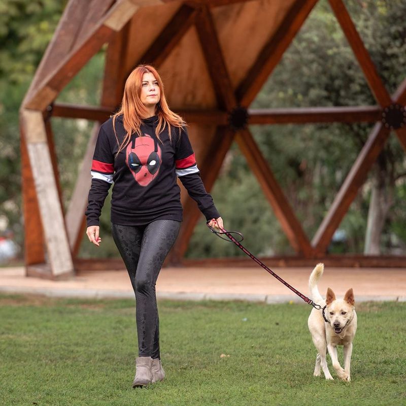 Correa Para Perros Deadpool