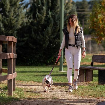 Correa  Para Perros Superman