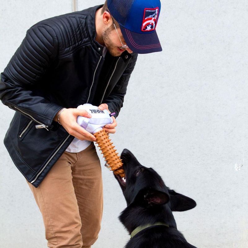 Mordedor Para Perro Avengers Thor