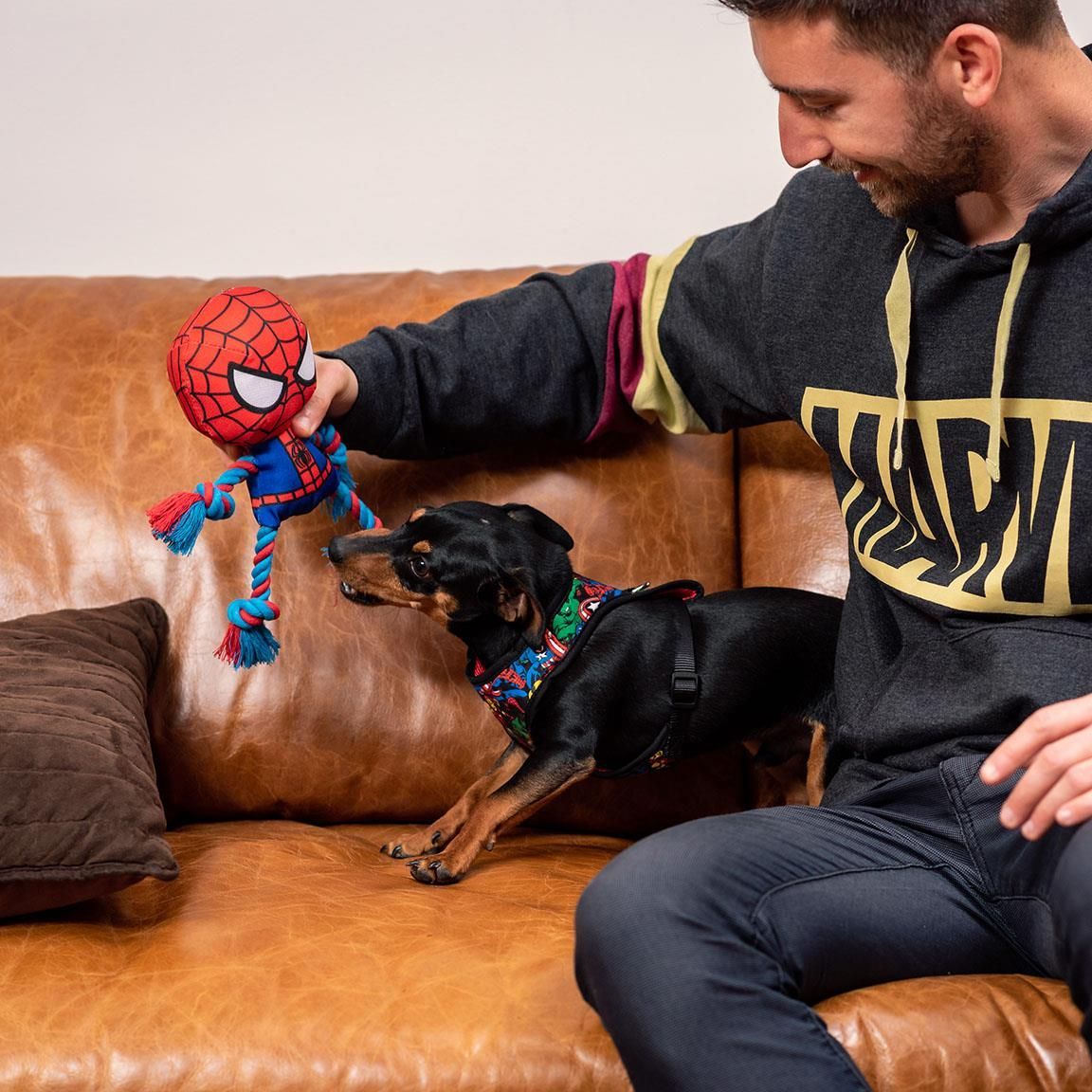 Cuerda Dental Para Perro Spiderman