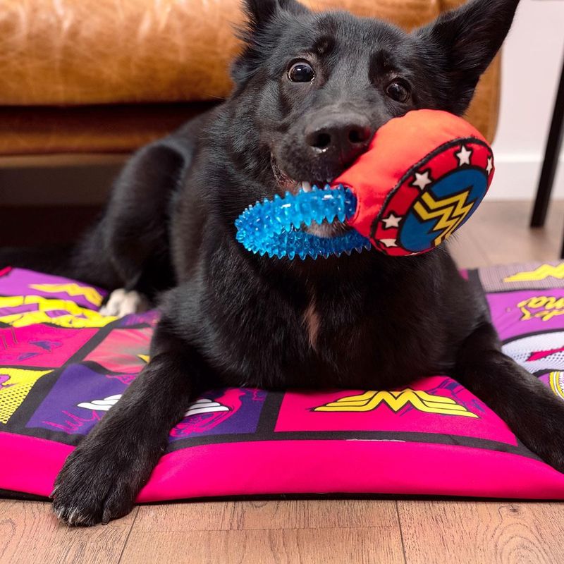 Mordedor Para Perro Wonder Woman