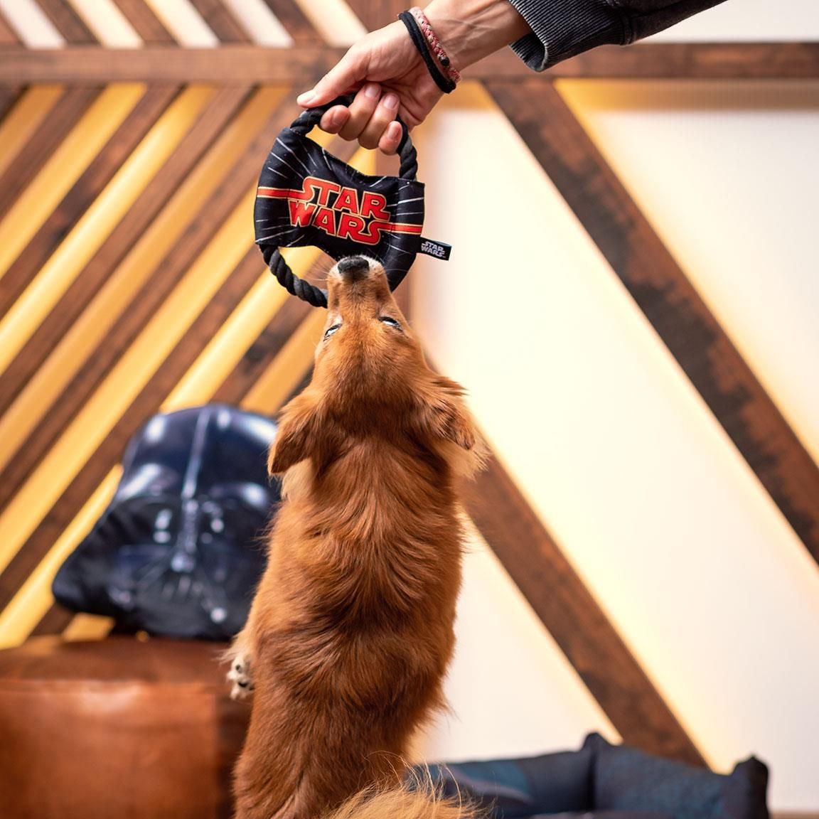 Cuerda Dental Para Perro Star Wars