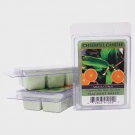 Sage and Citrus Cheerful Candle Melts