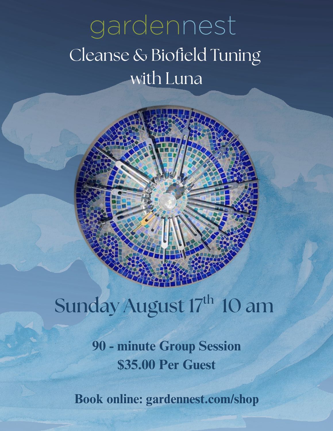 Cleanse &amp; Biofield Tuning Group Session