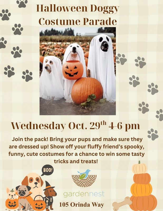Halloween Doggy Costume Parade