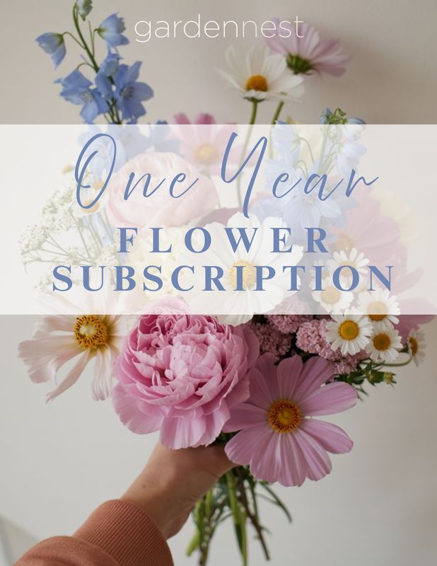 1 YEAR FLOWER SUBSCRIPTION
