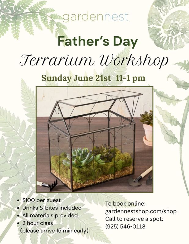 Father's Day Terrarium Workshop