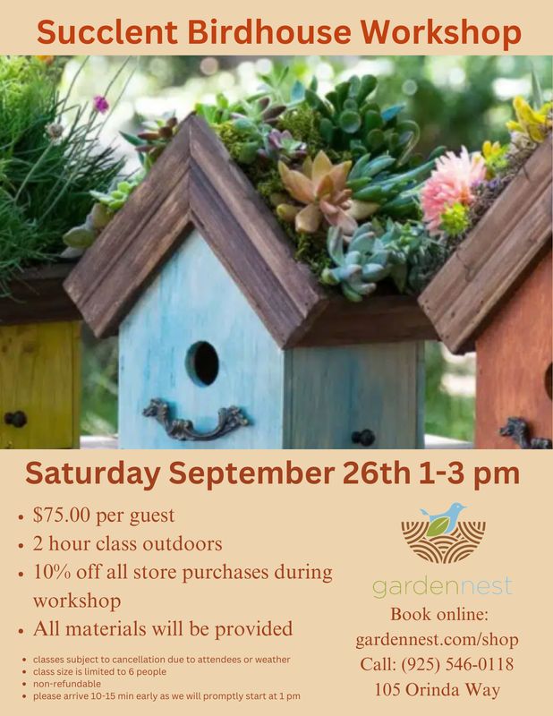 Succulent Bird House Workshop September 26th 1-3