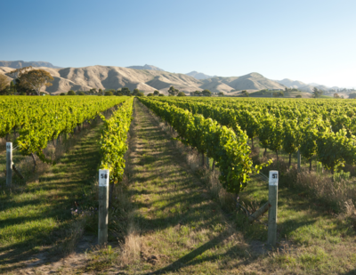 New Zealand