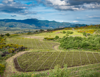Sicily