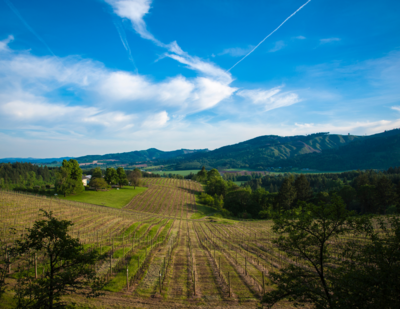 Oregon