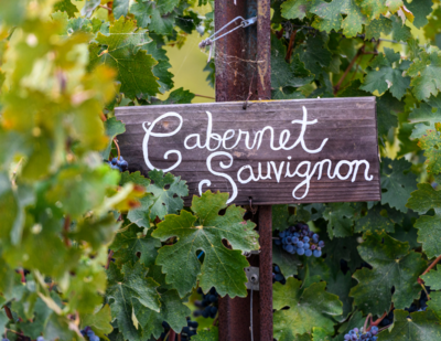 Cabernet Sauvignon