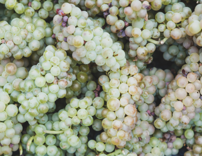 White Blend