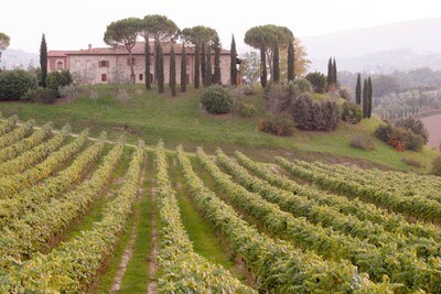 5/14/24 Wine Tasting - Tuscany