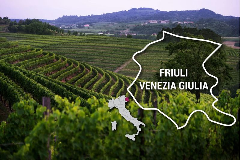 7/09/24 Wine Tasting Friuli