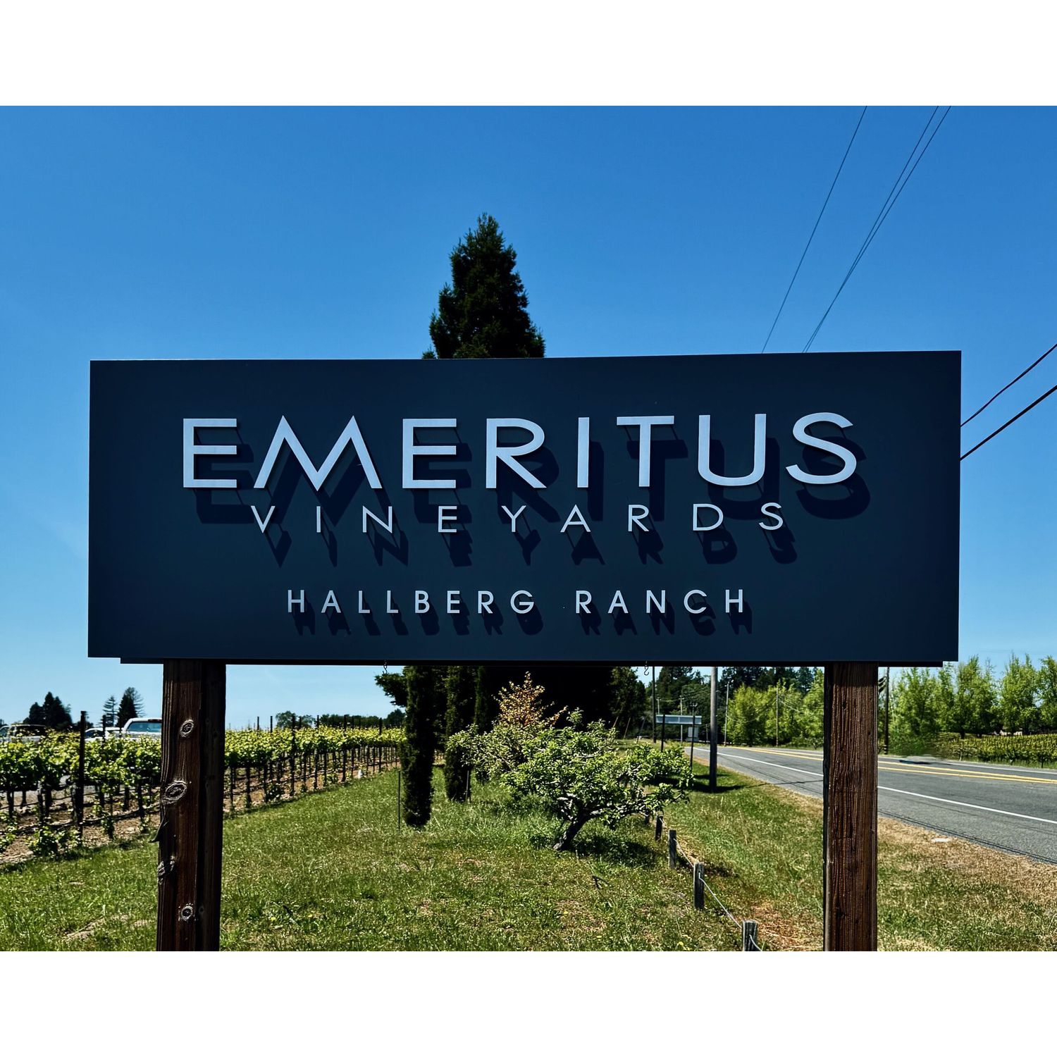 05/21/25 Wine Bar Takeover - Mari Jones of Emeritus Vineyards - 6:30pm to 8:30pm