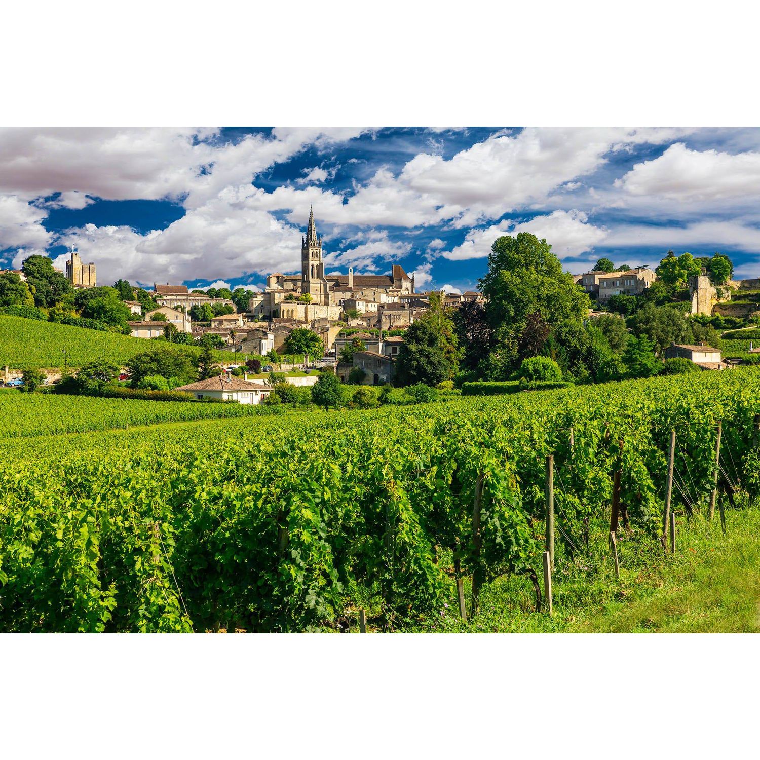 06/03/25 Wine Tasting - Summer in Europe: Bordeaux - 6pm