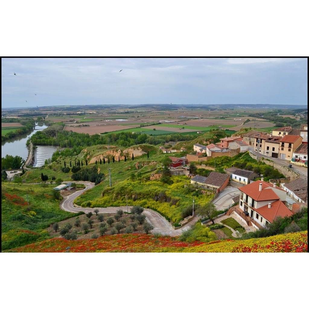 06/17/25 Wine Tasting - Summer in Europe: Castilla y León - 6pm