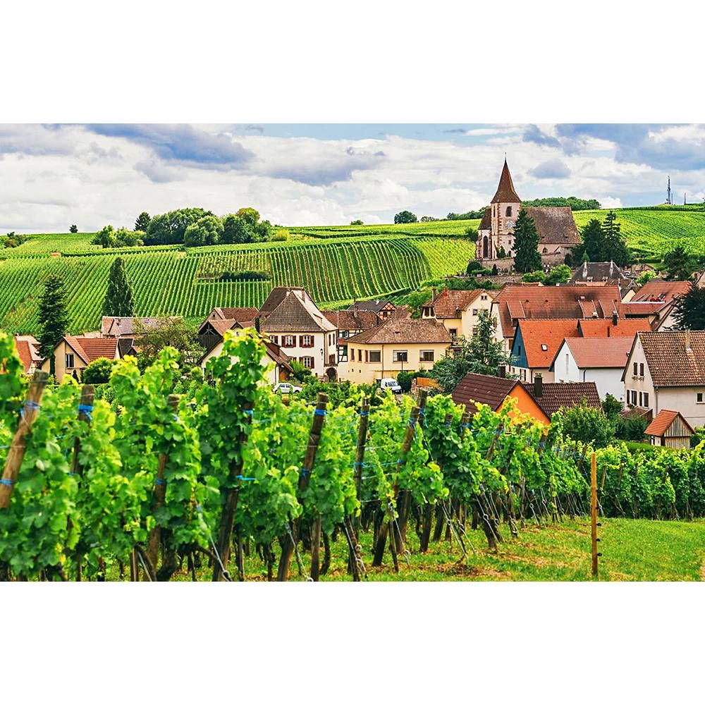 07/01/25 Wine Tasting - Summer in Europe: Burgundy - 6pm