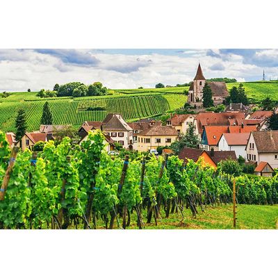 07/01/25 Wine Tasting - Summer in Europe: Burgundy - 6pm