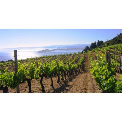 08/05/25 Wine Tasting - Summer in Europe: Greece - 6pm