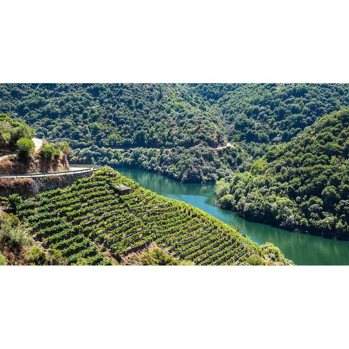 08/12/25 Wine Tasting - Summer in Europe: Galicia - 6pm