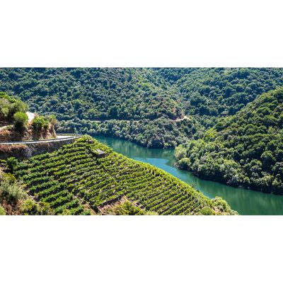 08/12/25 Wine Tasting - Summer in Europe: Galicia - 6pm