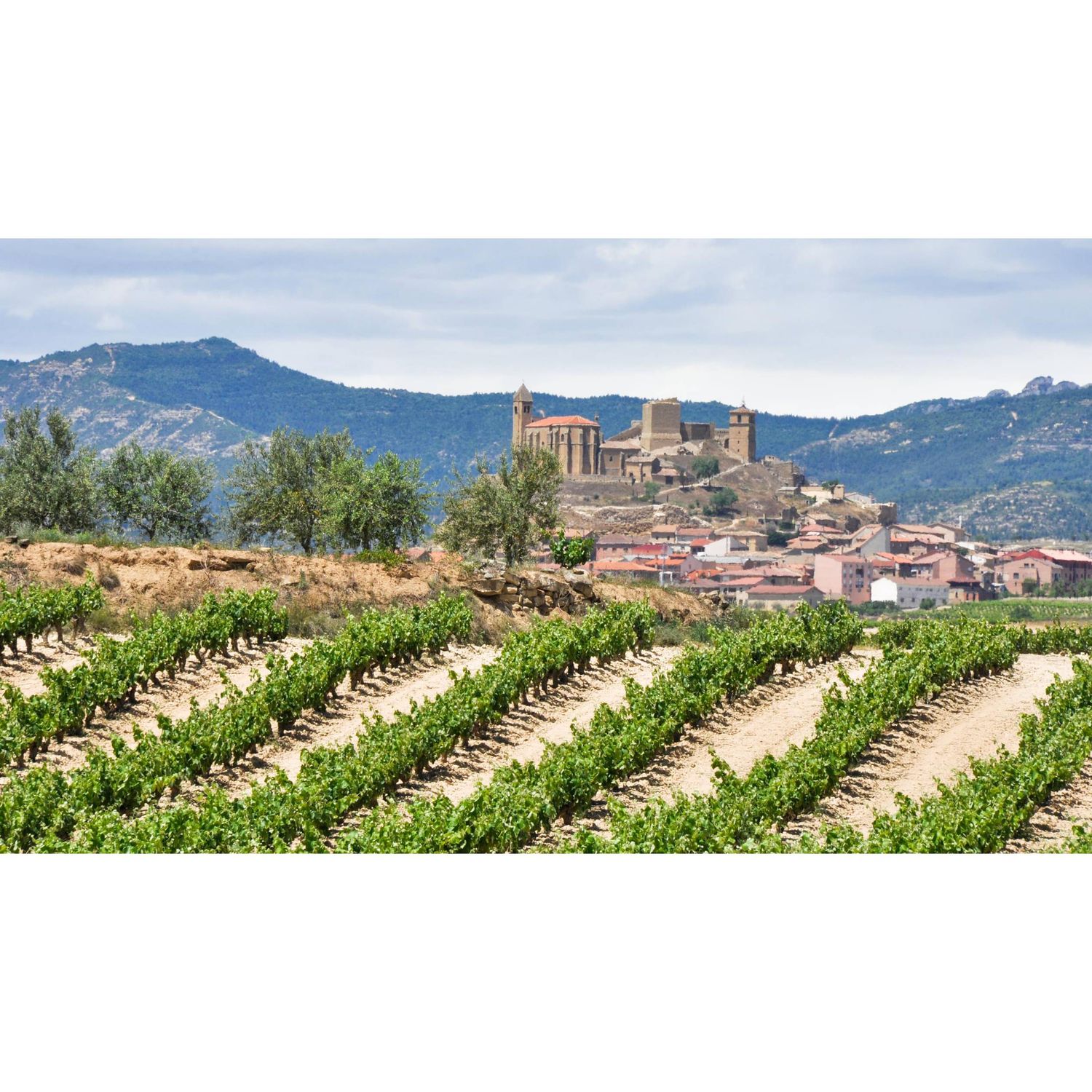 07/15/25 Wine Tasting - Summer in Europe: Rioja - 6pm