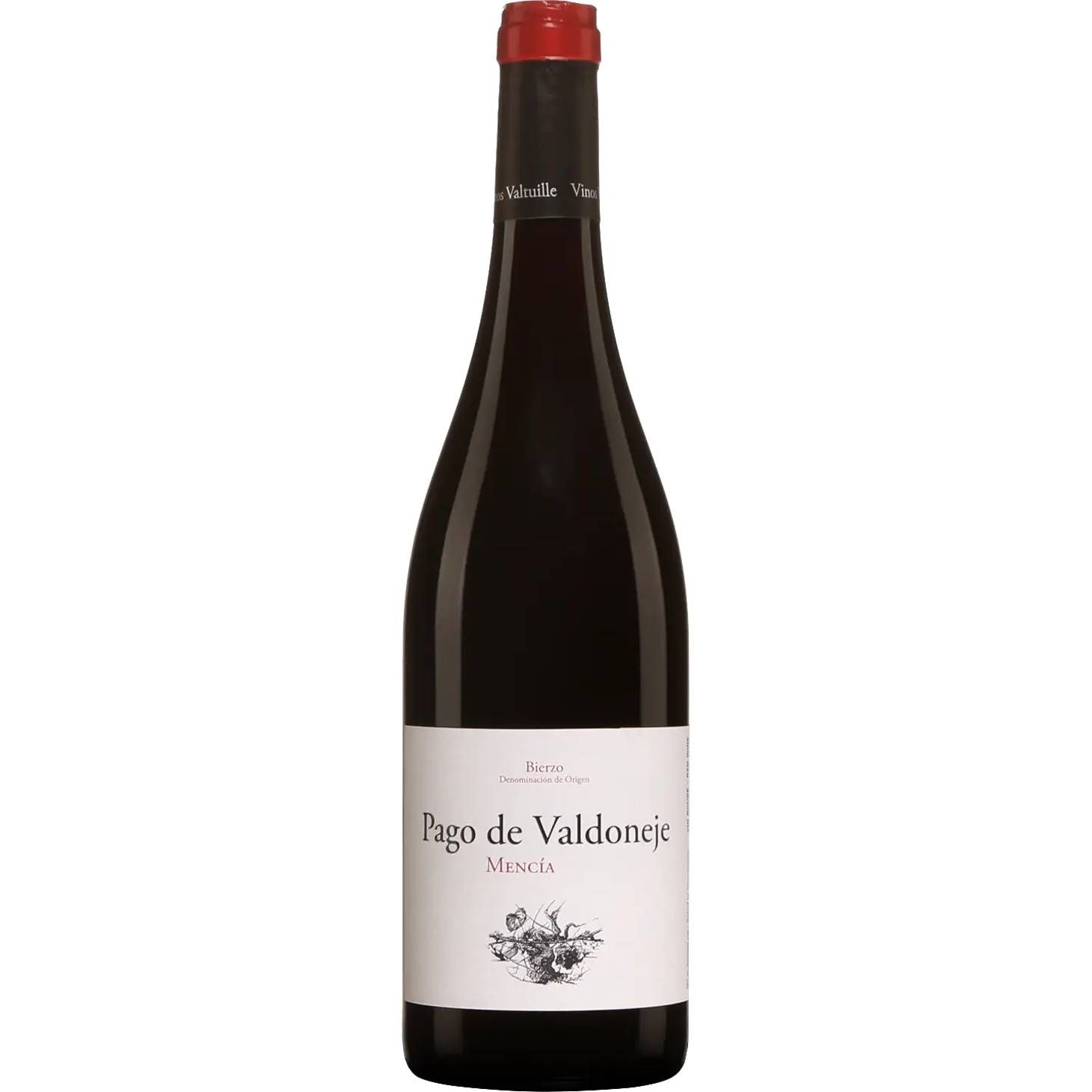 2022 Vinos Valtuille Pago de Valdoneje
