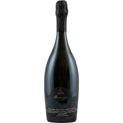 2023 Los Bermejos Malvasía Volcánica Brut Nature