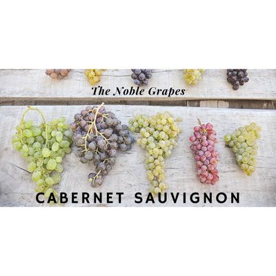 01/06/26 Wine Tasting - The Noble Grapes: Cabernet Sauvignon - 6PM