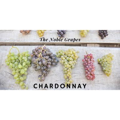 02/10/26 Wine Tasting - The Noble Grapes: Chardonnay - 6PM
