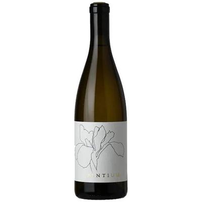 2023 Sentium Sauvignon Blanc