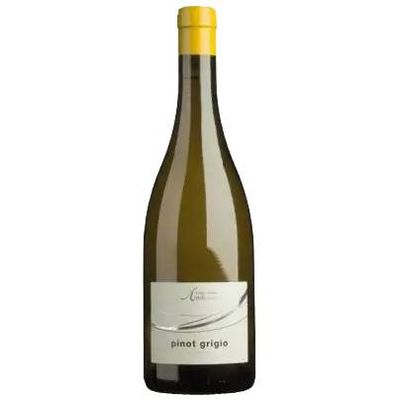 2024 Andriano Pinot Grigio